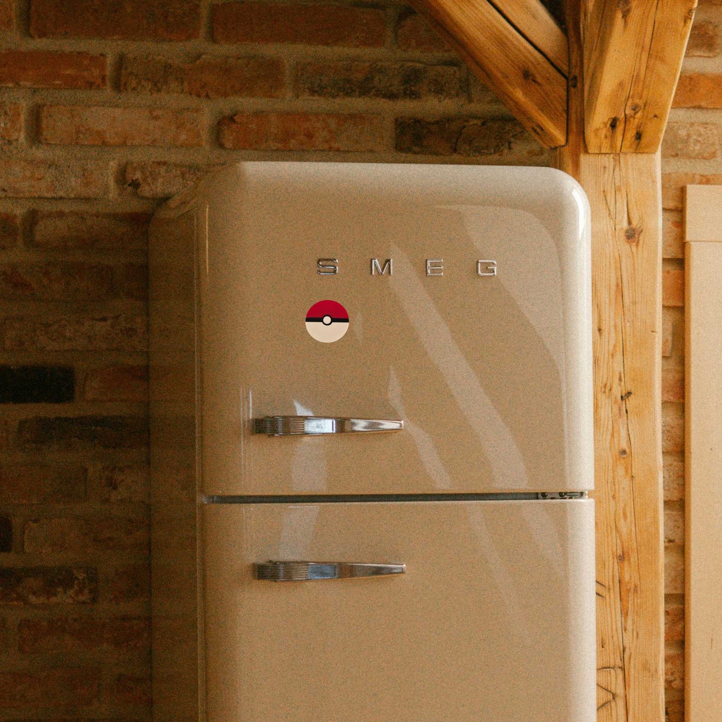 Pokemon Pokeball Acrylic Magnet  - Gamer Related