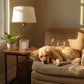 Layered Pet Memorial Picture Frame for Dogs or Cats